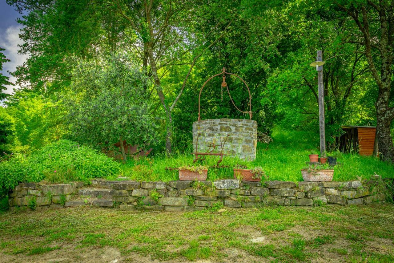 Casa Al Bosco Guest House Sant'Ellero Exterior photo